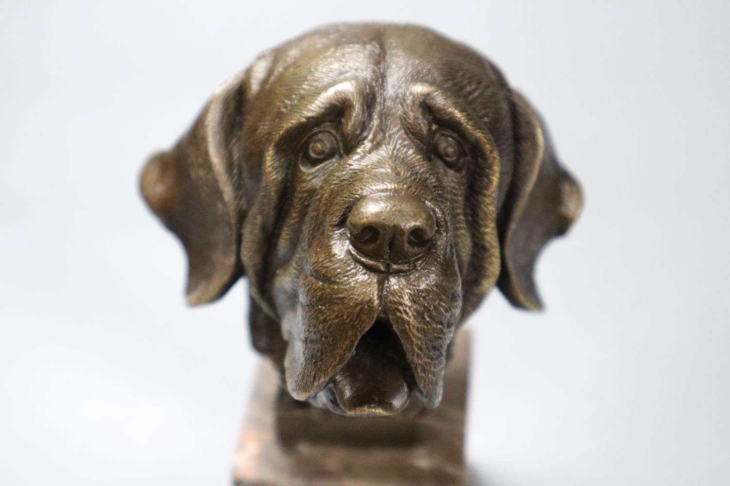 After Yanez. A modern bronze dog head, on marble plinth, 18cm